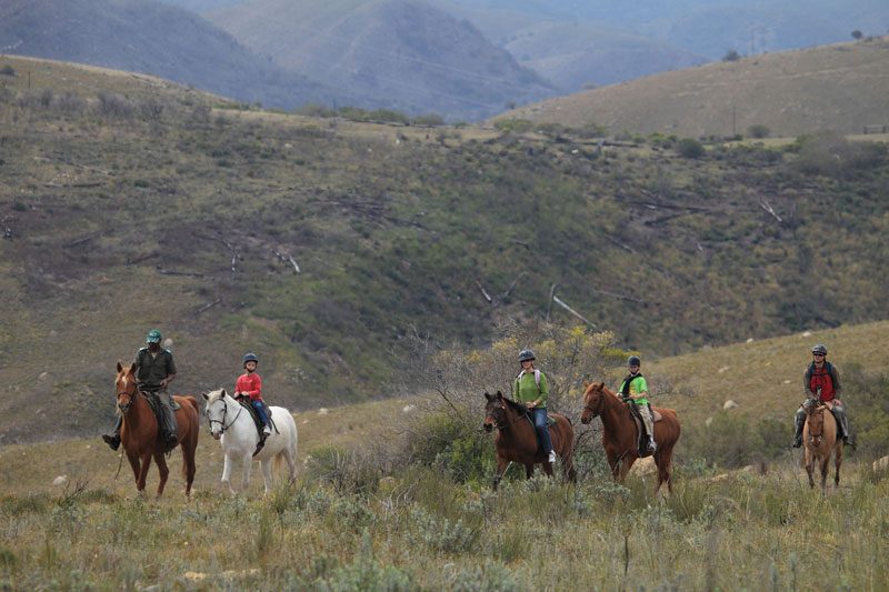 Five riders on horseback crossing open grassland hills in single file